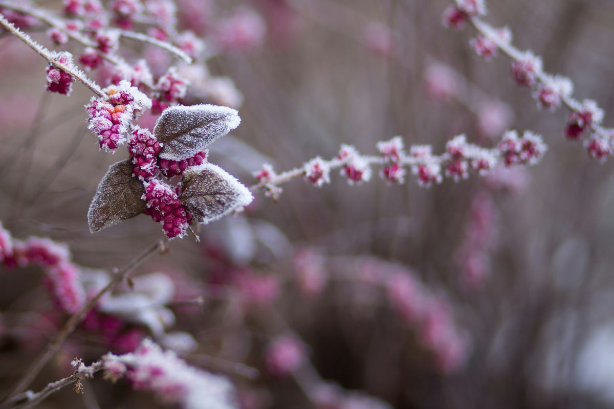 Gardez votre peau en santé cet hiver : Astuces pour la protéger du froid